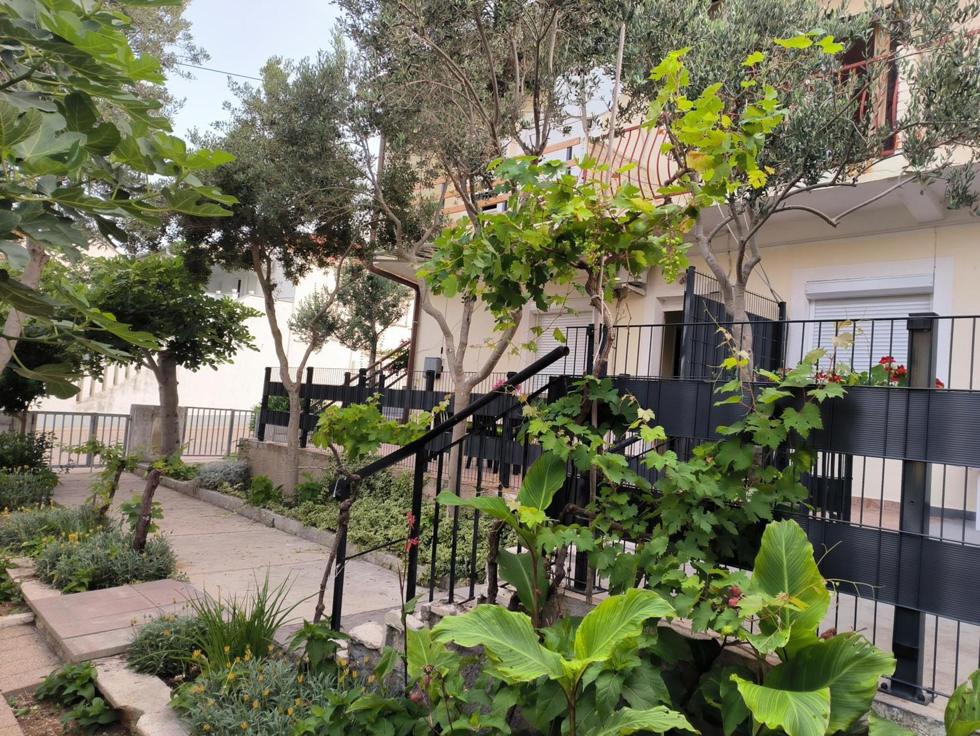 Apartments Orlic 포블랴나 외부 사진